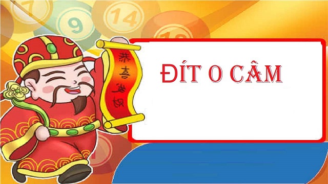 Sử dụng đầu đít câm soi cầu dàn lô